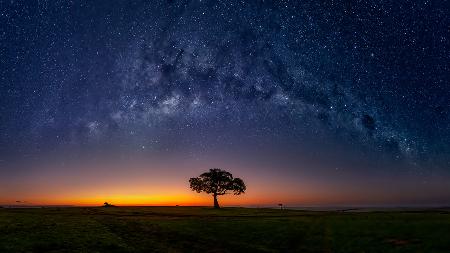 Milky Way in Masamara at dawn