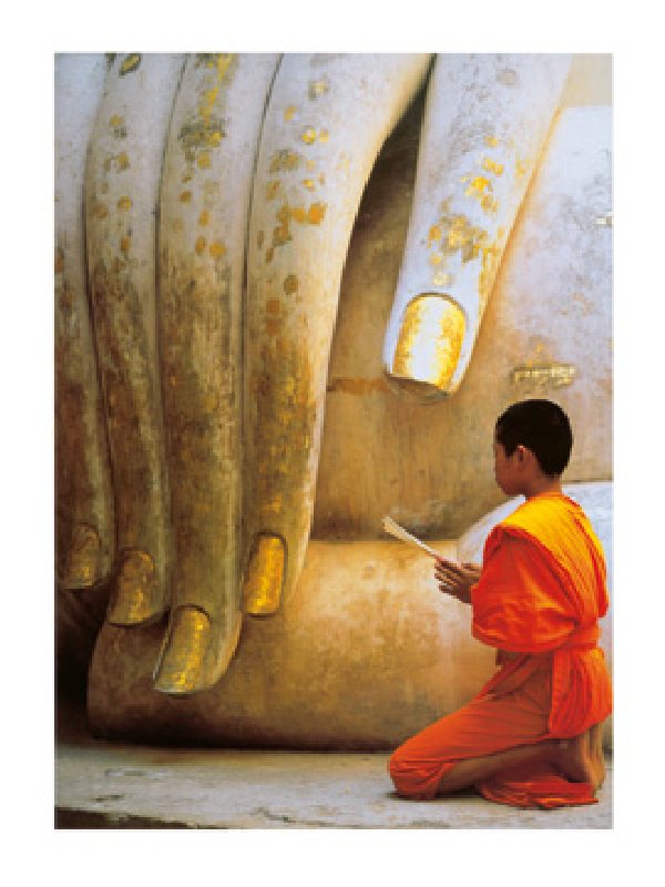 The Hand of Buddha van Hugh Sitton