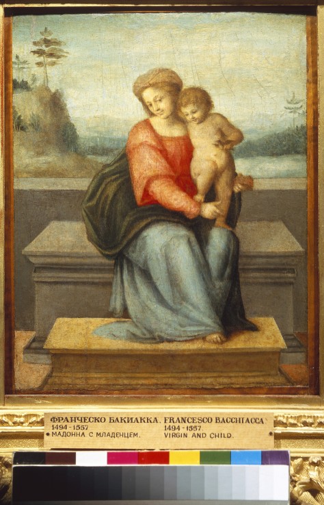 Virgin and Child van Il Bacchiacca