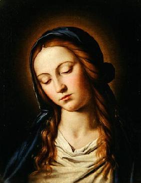 Head of the Madonna (oil on canvas)