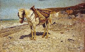 A Horse for carrying stones in Veules