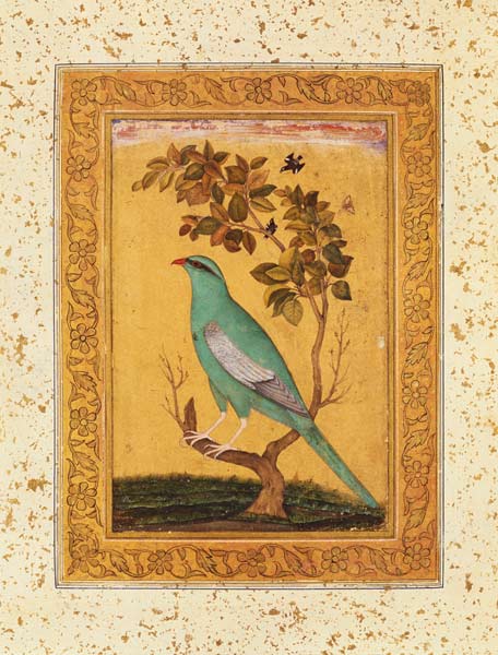 Green Bird, Mughal van Indian School