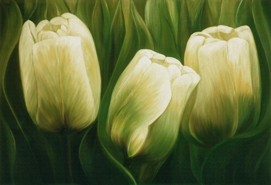 Tulpen van Ingeborg Kuhn