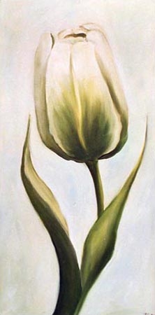 Weiße Tulpe 2 van Ingeborg Kuhn