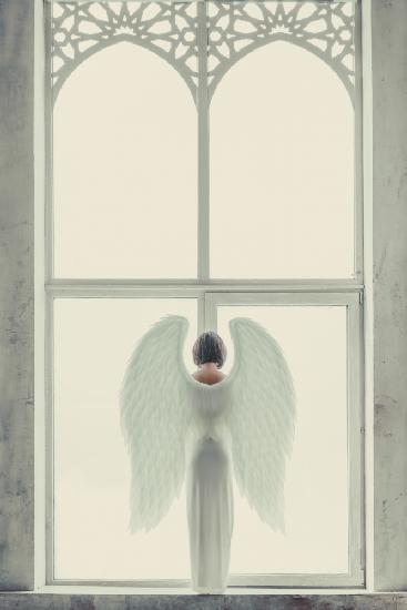 Windows of Angel