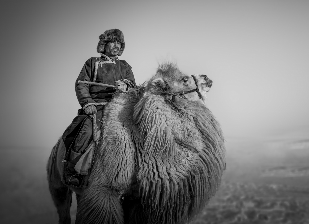Farmer and His Camel van Irene Wu