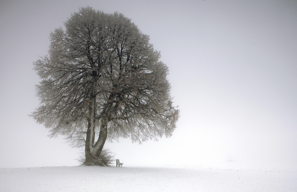 Winter tree van Irma Warth