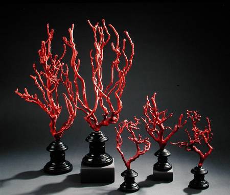 Set of wooden drawing models imitating coral, from the University of Florence van Scuola pittorica italiana