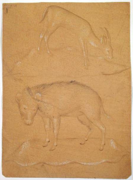 Study of a goat and a boar van Scuola pittorica italiana