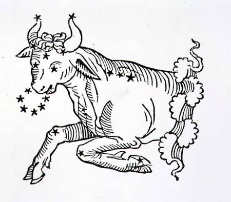 Taurus (the Bull) an illustration from the 'Poeticon Astronomicon' by C.J. Hyginus, Venice van Scuola pittorica italiana