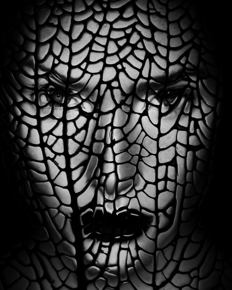 Face Abstract van Ivan Lesica