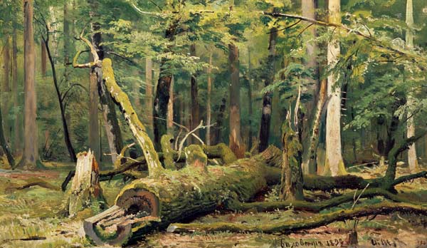 I.I.Zhishkin / Felled Oak / Ptg./ 1892 van Iwan Iwanowitsch Schischkin