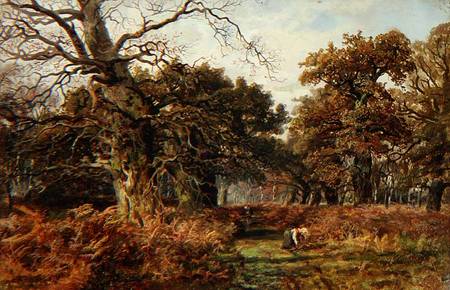 Sherwood Forest van J. Hudson Willis