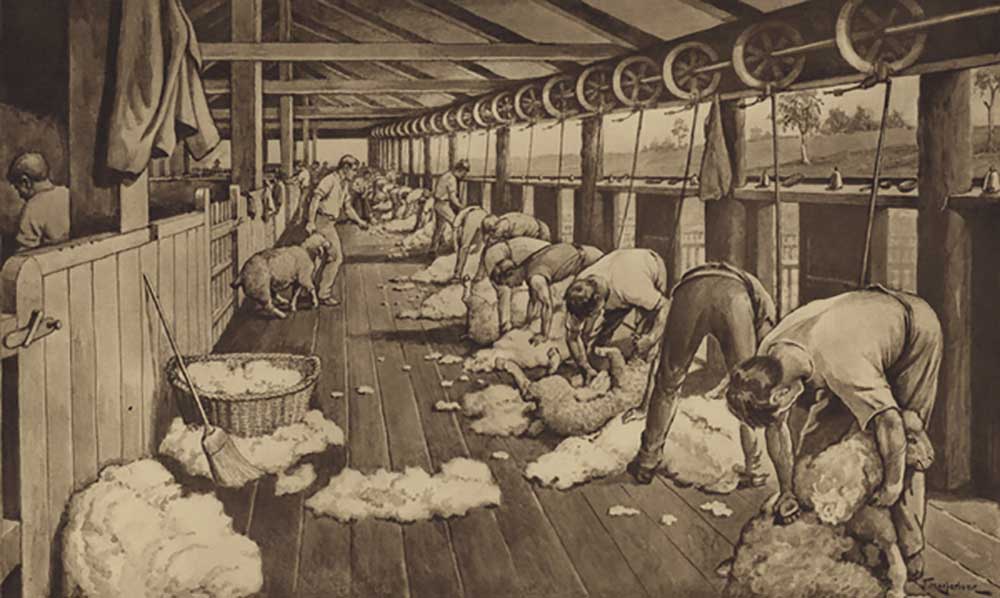 Sheep-shearing in Australia van J. Macfarlane