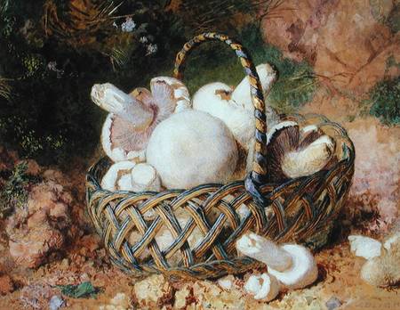 A Basket of Mushrooms van Jabez Bligh