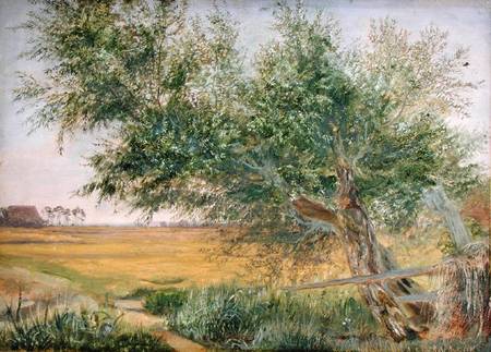 The Old Tree van Jacob Gensler