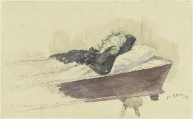 Girl in the coffin