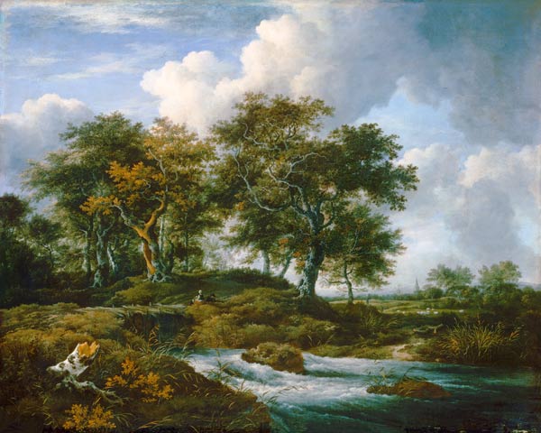 Eiken bij een stromende beek - Jacob Isaacksz van Ruisdael van Jacob Isaacksz van Ruisdael