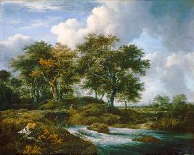 Eiken bij een stromende beek - Jacob Isaacksz van Ruisdael