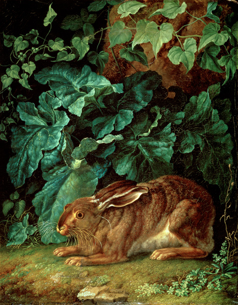 A Hare in Undergrowth van Jacob Philipp Hackert