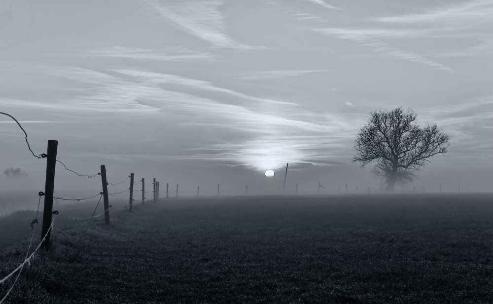 On a misty morning in March van Jacob Tuinenga