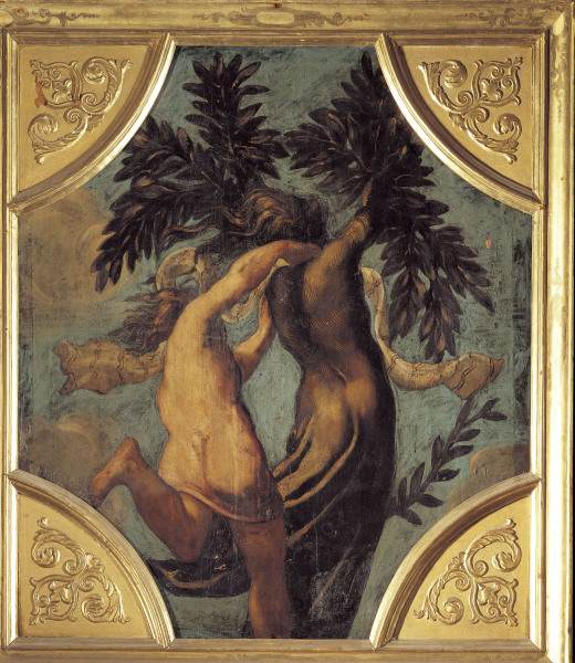 Tintoretto / Apollo and Daphne van Jacopo Robusti Tintoretto