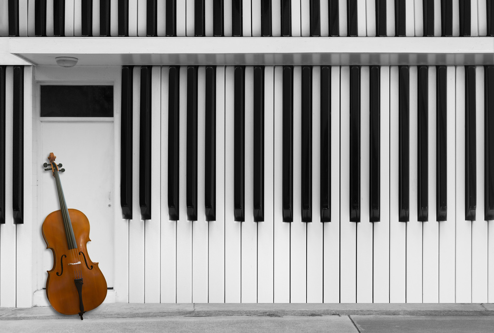 Cello at the Door van Jacqueline Hammer