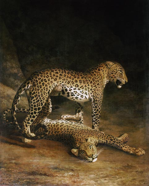 Two Leopards Lying In The Exeter Exchange van Jacques-Laurent Agasse