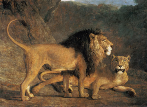 Löwe und Löwin in der Exeter Menagerie van Jacques-Laurent Agasse