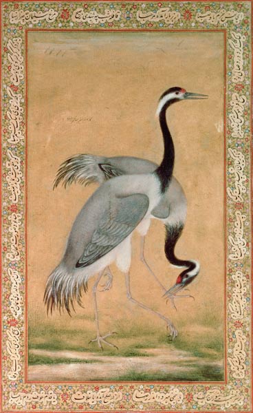 Cranes van Jahangir Period Mansur
