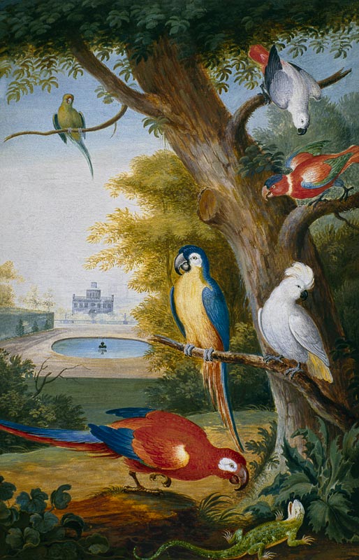 Parrots and a Lizard in a Picturesque Park van Jakab Bogdány