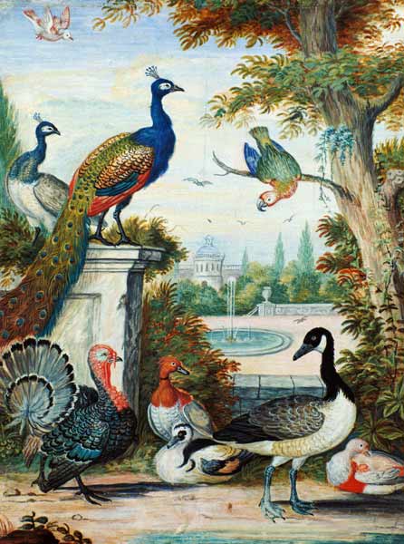 Exotic Birds and Domestic Fowl in a Picturesque Park van Jakab Bogdány