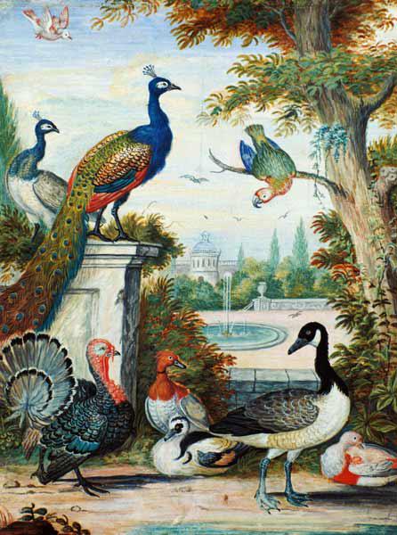 Exotic Birds and Domestic Fowl in a Picturesque Park