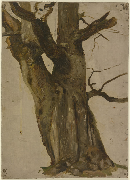 Hollow tree van Jakob Becker