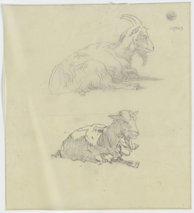 Two goats van Jakob Becker