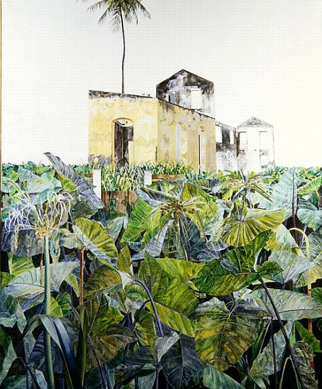 Ruin in a Swamp, Haiti, 1971 (oil on canvas)  van  James  Reeve