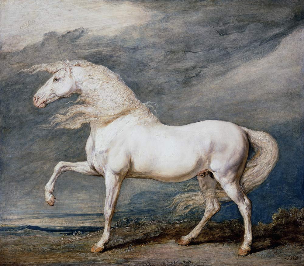 White Stallion van James Ward