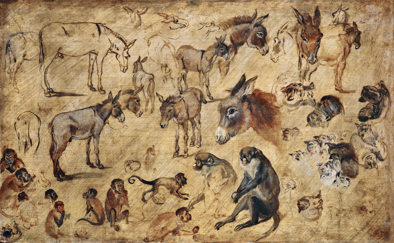 Animal Study van Jan Brueghel de oude