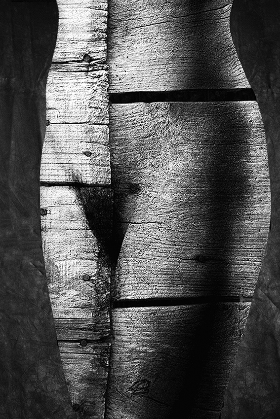 birch trunk van Jan Donckers