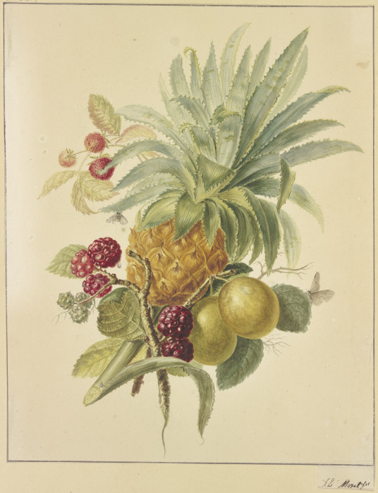 Eine Ananas, Pflaumen und Himbeeren van Jan Evert Morel