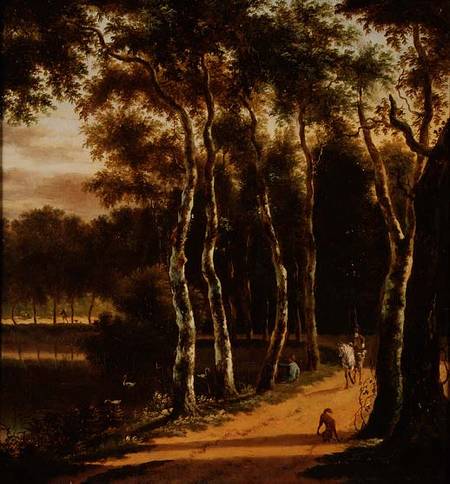 An Avenue of Birches Beside a River van Jan Hackaert
