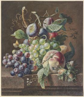 Früchtestück mit Pfirsich, Haselnuss,Trauben und Pflaumen