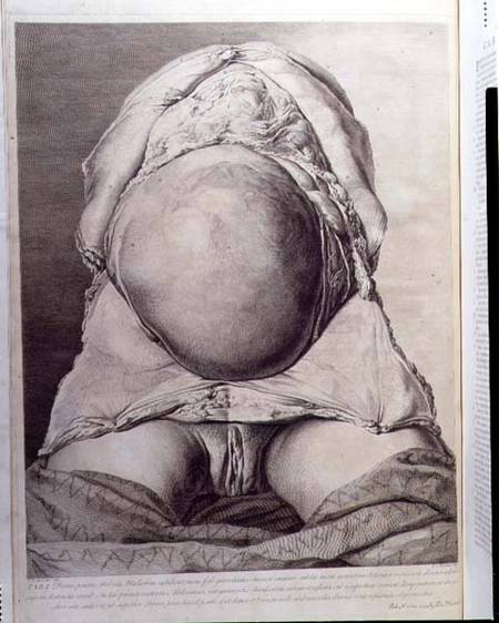 Anatomical drawing of the abdomen of a pregnant female human with skin peeled back van Jan van Rymsdyk