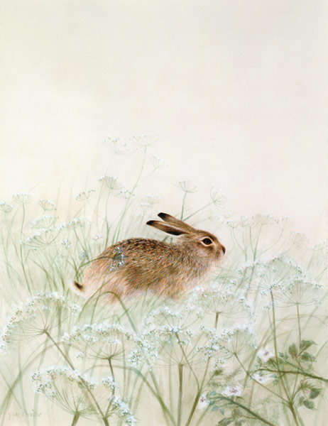 Rabbit  van Jane  Neville