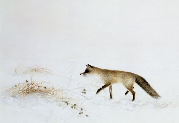 Fox in Snow  van Jane  Neville