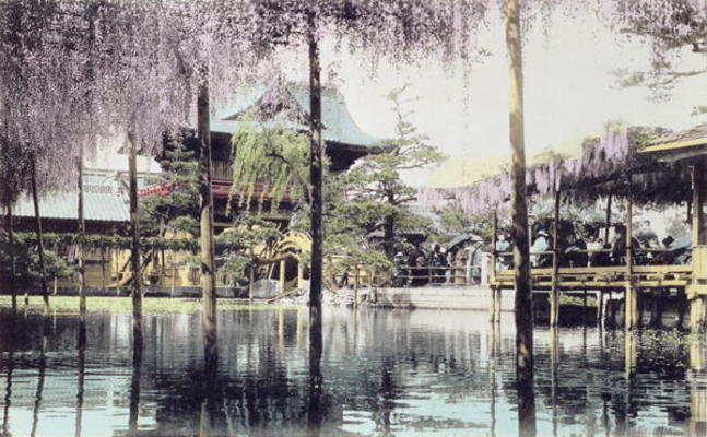 Wisteria blossom over the pond in the Kameido Temple Gardens, Tokyo, late 19th century (hand coloure van Japanese Photographer, (19th century)