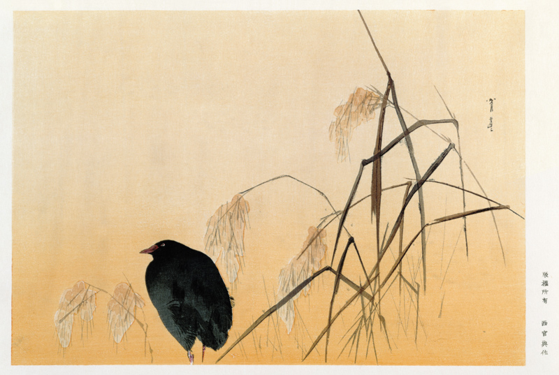 Blackbird, Edo Period (silk scroll) van Japanese School