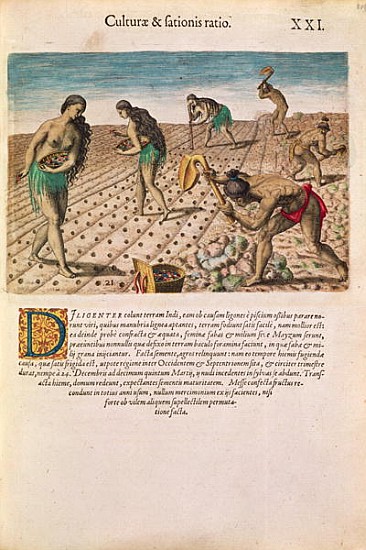 Florida Indians planting maize, from ''Brevis Narratio...'', published Theodore de Bry, 1591(see als van J.(de Morgues) Bry Th. (1528-98) after Le Moyne