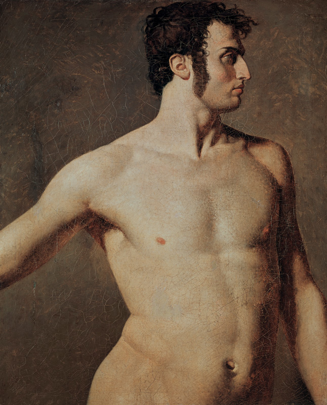 Male Torso van Jean Auguste Dominique Ingres