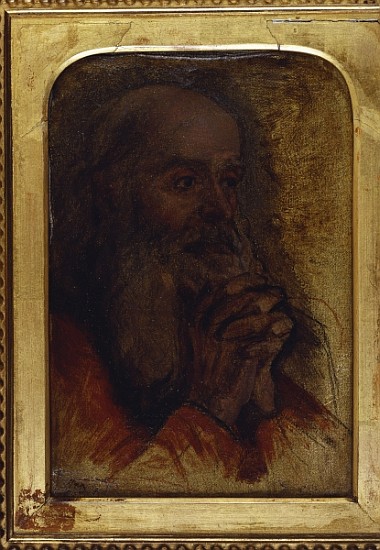 Study of an old man''s head for ''Jesus Among the Doctors'' van Jean Auguste Dominique Ingres